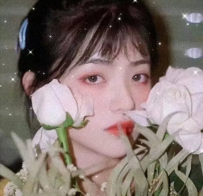 少年张三丰